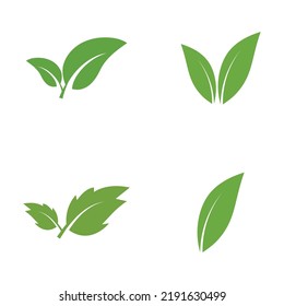 Logos of green Tree leaf ecology nature element vector