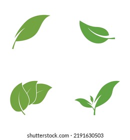 Logotipos de ecología de hoja de árbol verde elemento de naturaleza vector