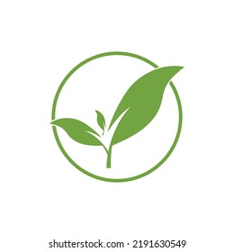 Logos of green Tree leaf ecology nature element vector