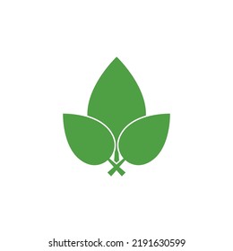 Logos of green Tree leaf ecology nature element vector