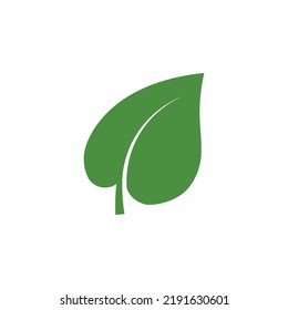 Logos of green Tree leaf ecology nature element vector