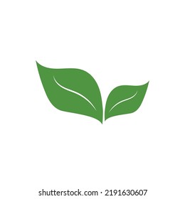 Logos of green Tree leaf ecology nature element vector