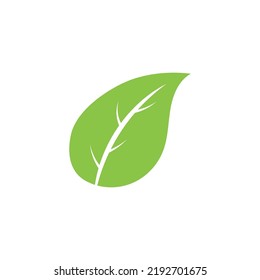 Logos of green Tree leaf ecology nature element vector