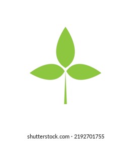Logos of green Tree leaf ecology nature element vector