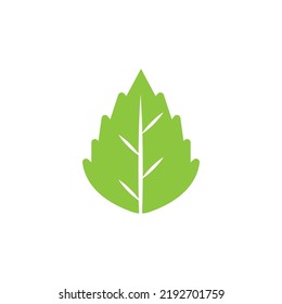 Logos of green Tree leaf ecology nature element vector