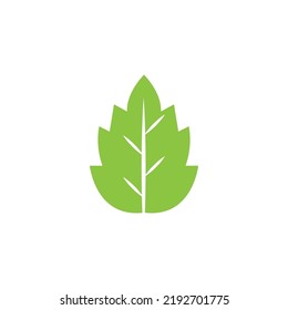 Logos of green Tree leaf ecology nature element vector