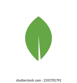 Logos of green Tree leaf ecology nature element vector