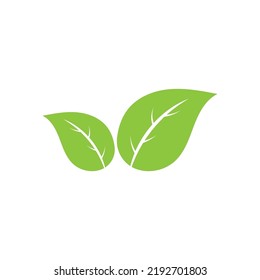 Logos of green Tree leaf ecology nature element vector