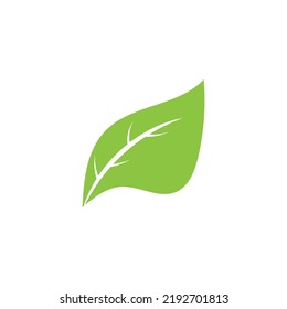 Logotipos de ecología de hoja de árbol verde elemento de naturaleza vector