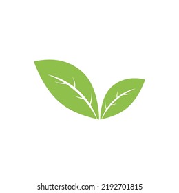 Logotipos de ecología de hoja de árbol verde elemento de naturaleza vector
