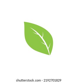 Logotipos de ecología de hoja de árbol verde elemento de naturaleza vector