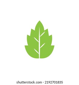 Logos of green Tree leaf ecology nature element vector