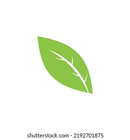 Logos of green Tree leaf ecology nature element vector
