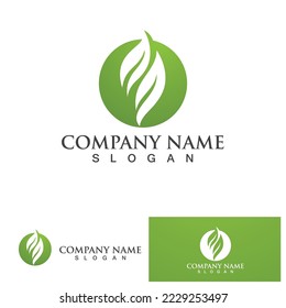 Logos of green Tree leaf ecology nature element vector