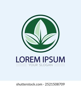 Logos von grün Baumblatt Ökologie Natur Element Vektor
