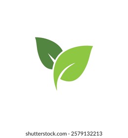 Logos of green Tree leaf ecology nature element vector