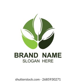 Logos of green Tree leaf ecology nature element vector