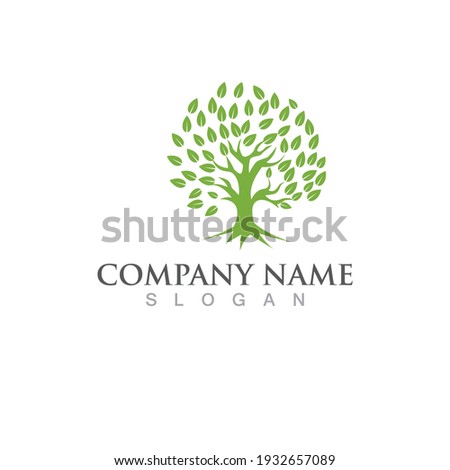 Logos of green Tree leaf ecology nature element vector