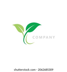Logos of green Tree leaf nature vector