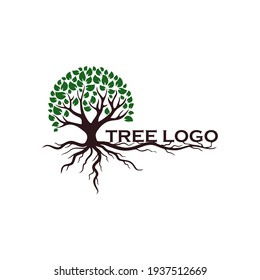 Logos of green Tree leaf vector