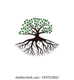 Logos Of Green Tree Root Leaf Ecology Nature