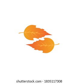 Logos of red Tree leaf ecology nature element vector