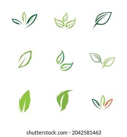 logos set of green leaf ecology nature element vector