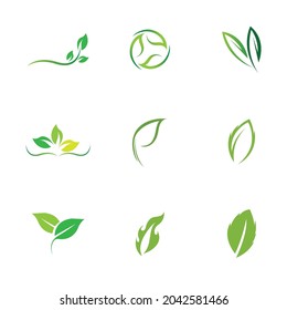 conjunto de logotipos ecología de hoja verde elemento de naturaleza vector