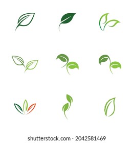 logos set of green leaf ecology nature element vector