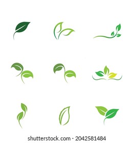 logos set of green leaf ecology nature element vector