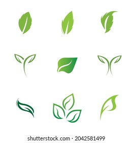 logos set of green leaf ecology nature element vector