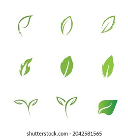 logos set of green leaf ecology nature element vector