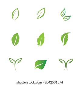 logos set of green leaf ecology nature element vector