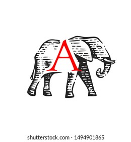 Logotype of the elephant. Vector illustration. Black, white and red vector object.