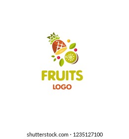 Logotype fruits, logo vector organic products, kiwi, pineapple, leaf, berry, delivery, useful
