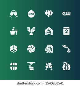 logotype icon set. Collection of 16 filled logotype icons included Peacock, Cheers, d, Lunch box, Lion, Vortex, Arch, Dove, Ice bucket, Cw, Lotus, H o