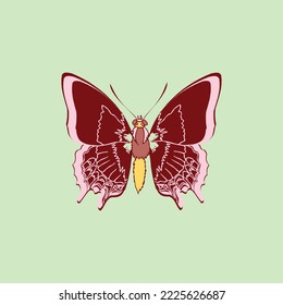 Logotype polyura eudamippus butterfly icon design on light green background