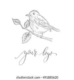 logotype template with a bird on a branch. Perfect logo for your business.