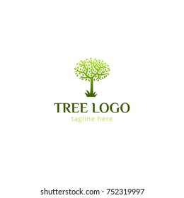 Logotype tree for scallop, sale of trees, greenery, eco products, only natural, wood, sale, building ecology materials, consultant, eco home. Logo vector illustration