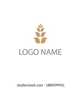 Logotype wheat leaf logo vector