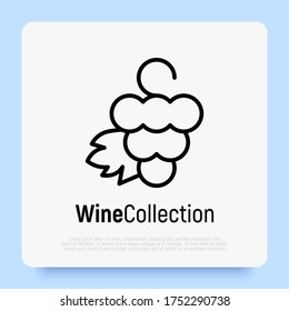 Logotype for wine and wine making. bunch of grapes with leaf. Thin line icon. Vector illustration. 