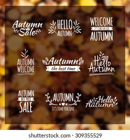 Logotypes set. Autumn badges, labels, ribbons, elements, wreaths and laurels, branches. Hand drawing. Vintage vector on blurred background leaf litter.