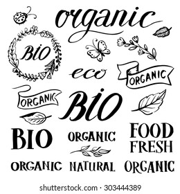 logotypes set. Badges, labels, leaves, ribbons, plants elements, wreaths. Organic, bio, ecology, Eco natural design template.Hand drawing.Vintage vector.
