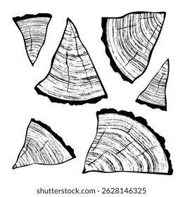 Logs of firewood, wood texture, tree rings pattern, vector design, isolated on white background