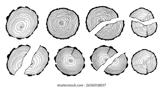 Logs of firewood, wood texture, tree rings pattern, vector design, isolated on white background