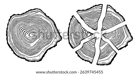 Logs of firewood, wood texture, tree rings pattern, vector design, isolated on white background