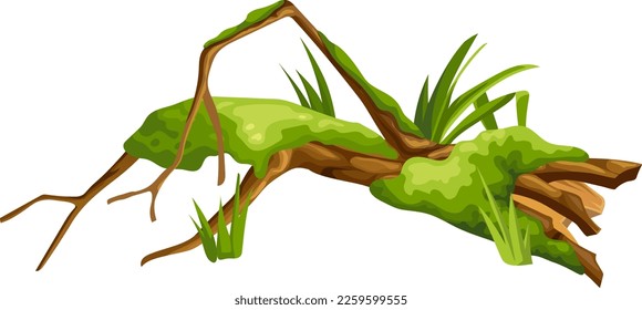 Logs, stump in moss. Cartoon tree in lichen in swamp jungle. Broken oak in tropical damp forest. Isolated vector element on white background.