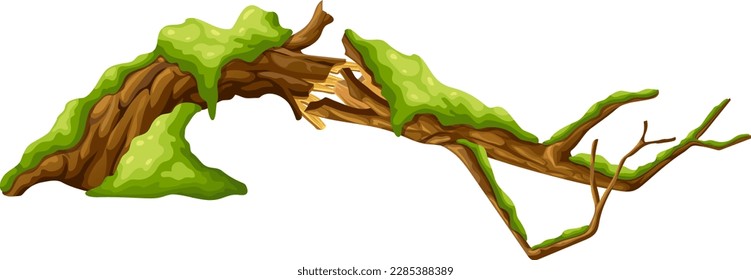 Logs, stump in moss. Cartoon tree in lichen in swamp jungle. Broken oak in tropical damp forest. Isolated vector element on white background.