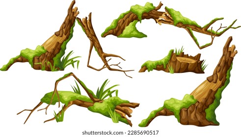 Láminas, trozos de musgo. Árbol de dibujos en liquen en la selva pantanosa. Robo roto en bosque húmedo tropical. Elemento vectorial aislado sobre fondo blanco.