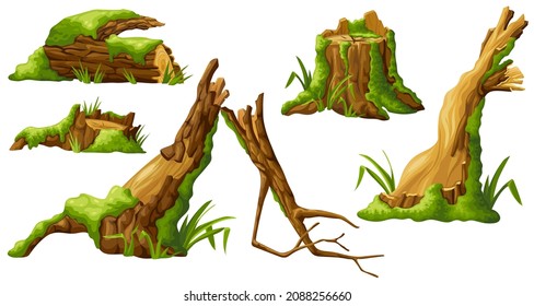 Logs, stumps in moss. Cartoon tree in lichen in swamp jungle. Broken oak in tropical damp forest. Set isolated vector element on white background.